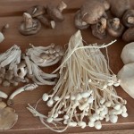Ciupercile de toamna tarzie